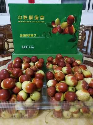 茂名農(nóng)產(chǎn)品種苗批發(fā) 初級(jí)農(nóng)產(chǎn)品產(chǎn)業(yè)鏈的活力之源