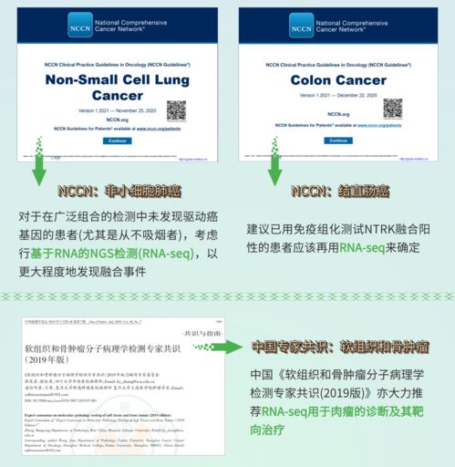 融二為一，精準(zhǔn)抗癌 燃石醫(yī)學(xué)DNA+RNA雙檢測(cè)賦能實(shí)體瘤患者——論文解讀肝癌血漿microRNA標(biāo)志物檢測(cè)報(bào)告系統(tǒng)